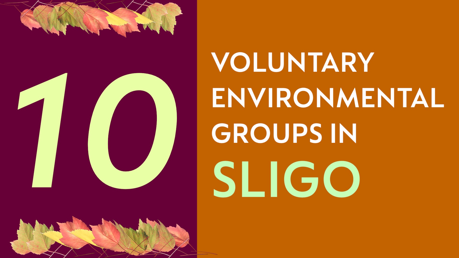 Blog 7 - Sligo’s Environmental Community